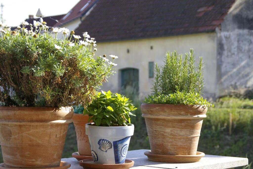 Ferienwohnung Sachsenberg Keine Monteure Hadersdorf am Kamp Luaran gambar